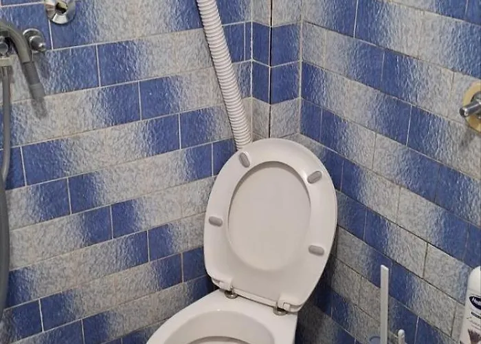 Апартаменты Jarin Raj Morovic